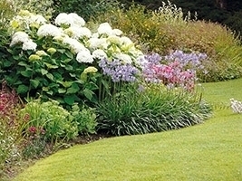 Mid Summer Special Guided Tours. 2025